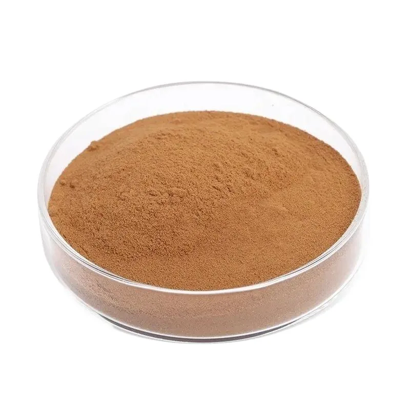 Health Supplement Pure Polyporus Umbellatus/Mushroom Extract in Herbal Extract