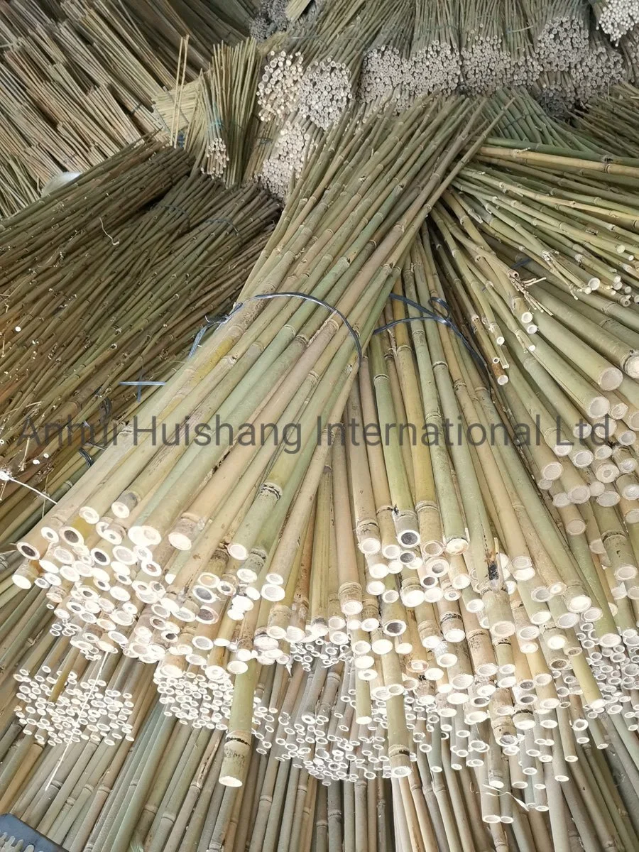 Farm Use Bamboo Stakes Bamboo Canes