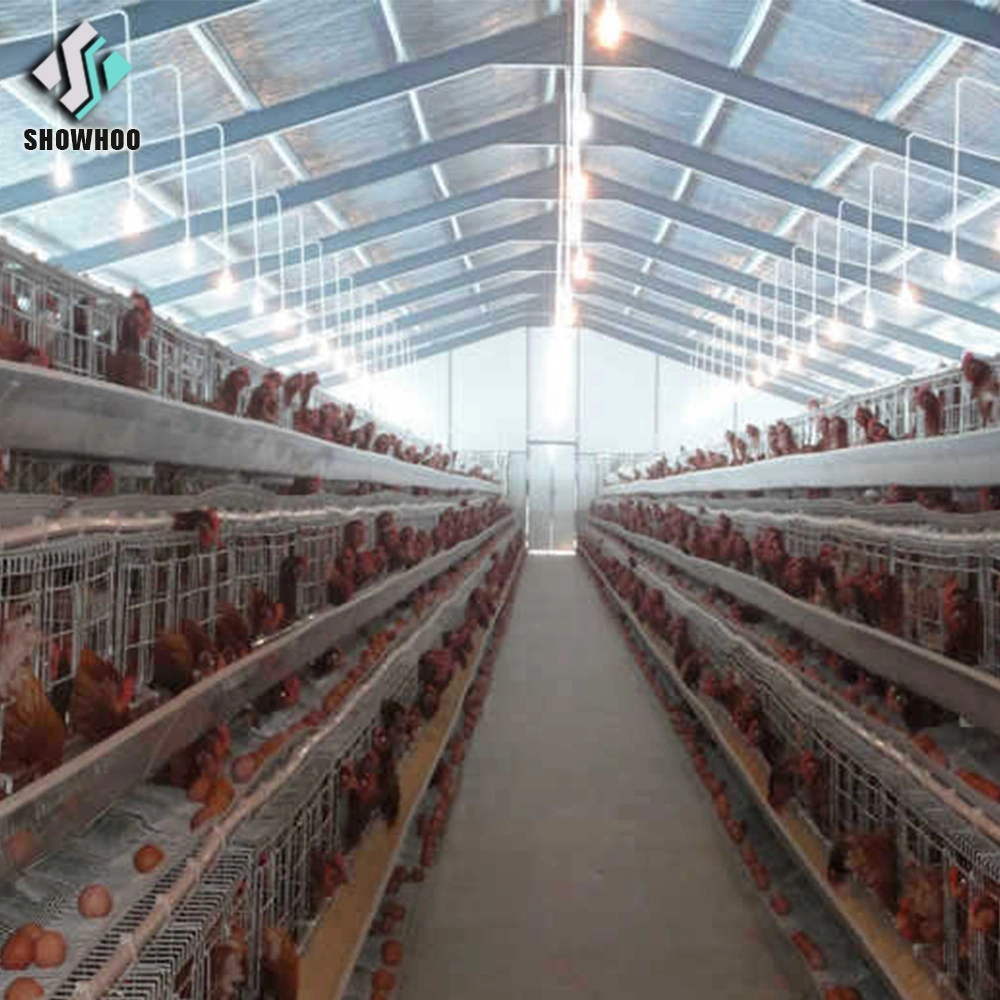 Galvanized Large Egg Layer Poultry Farm Chicken House