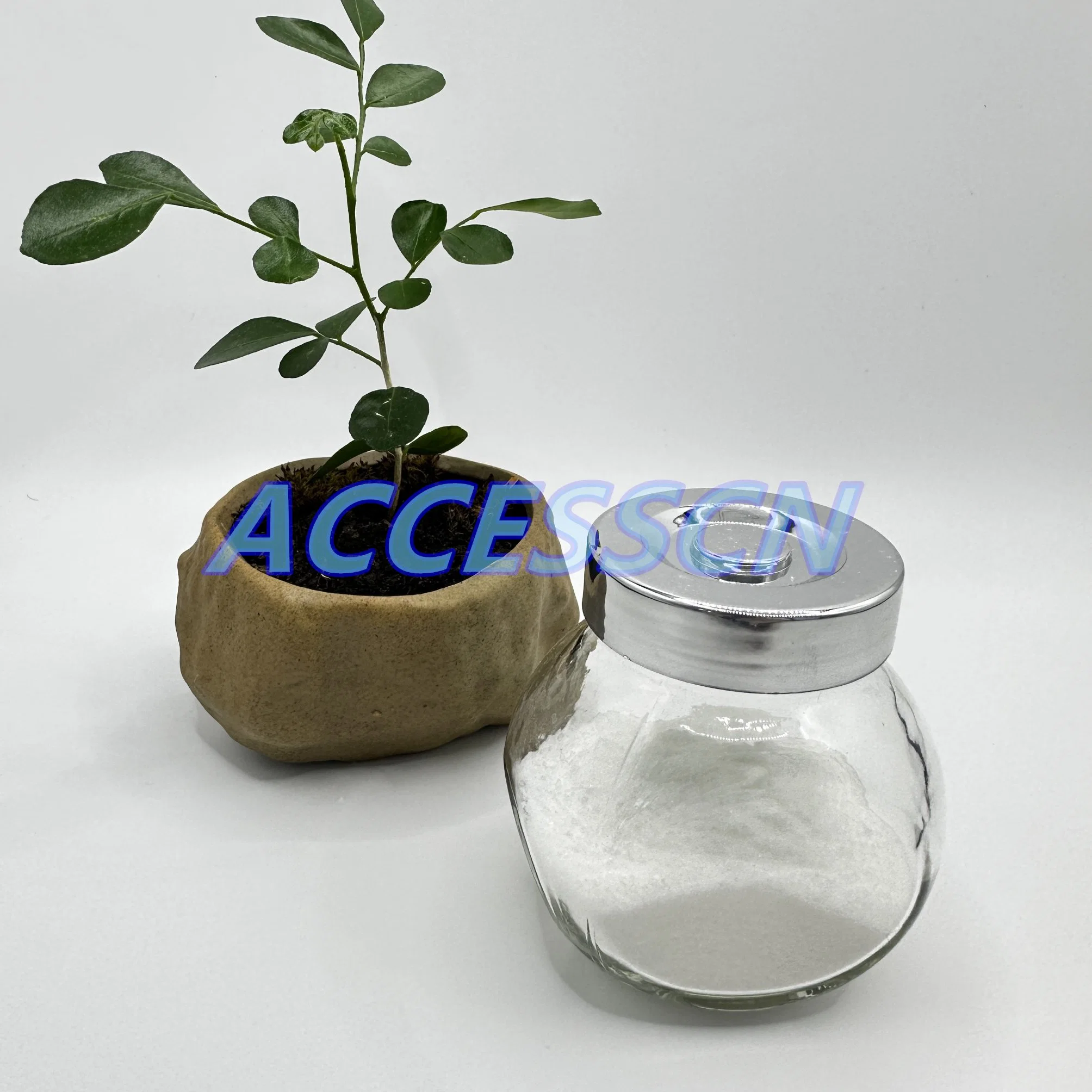 Best Price Bp/USP/Ep/FCC/E300 CAS 50-81-7 Ascorbic Acid Vitamin C Powder