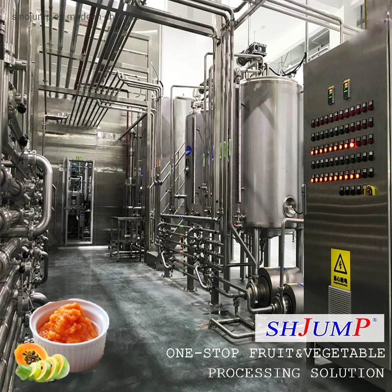 8t Per Hour Processing Capacity Pineapple Juice Processing Line