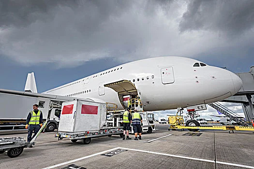 Profissional Amazon FBA Freight aéreo/DHL FedEx UPS TNT/Agente de expedição da China para Peru