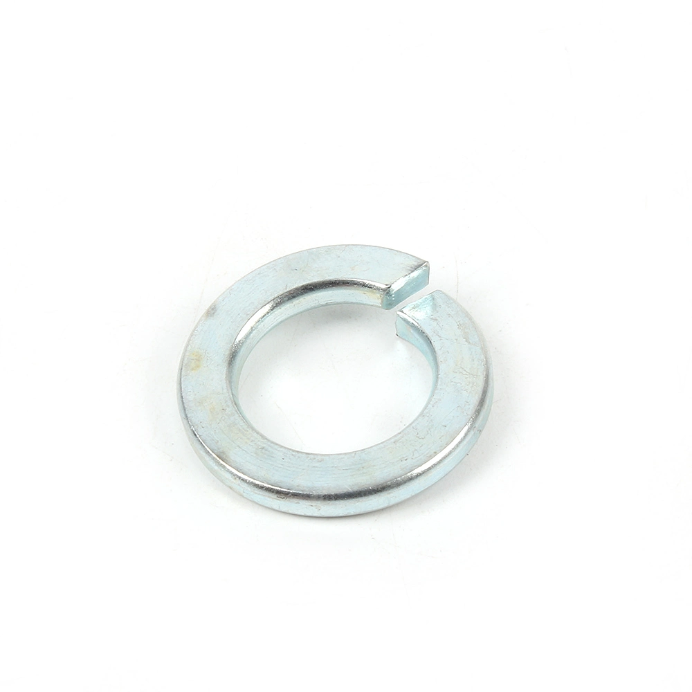 Factory Stainless Steel Spring Washers