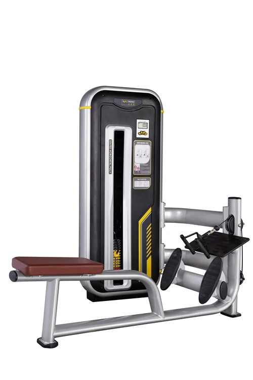 Bn-012A Low Row/Fitness Equipment/Gym Machine/Body Building