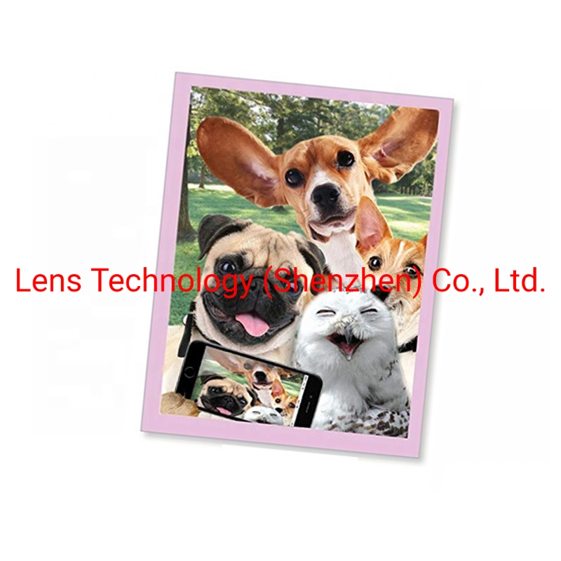 Hot Selling Wholesale Custom Printing Animal 3D Lenticular Greeting Cards