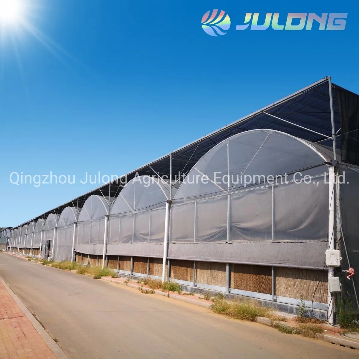 Low Cost Plastic Film Greenhouse for Planting Vegetables and Fruits