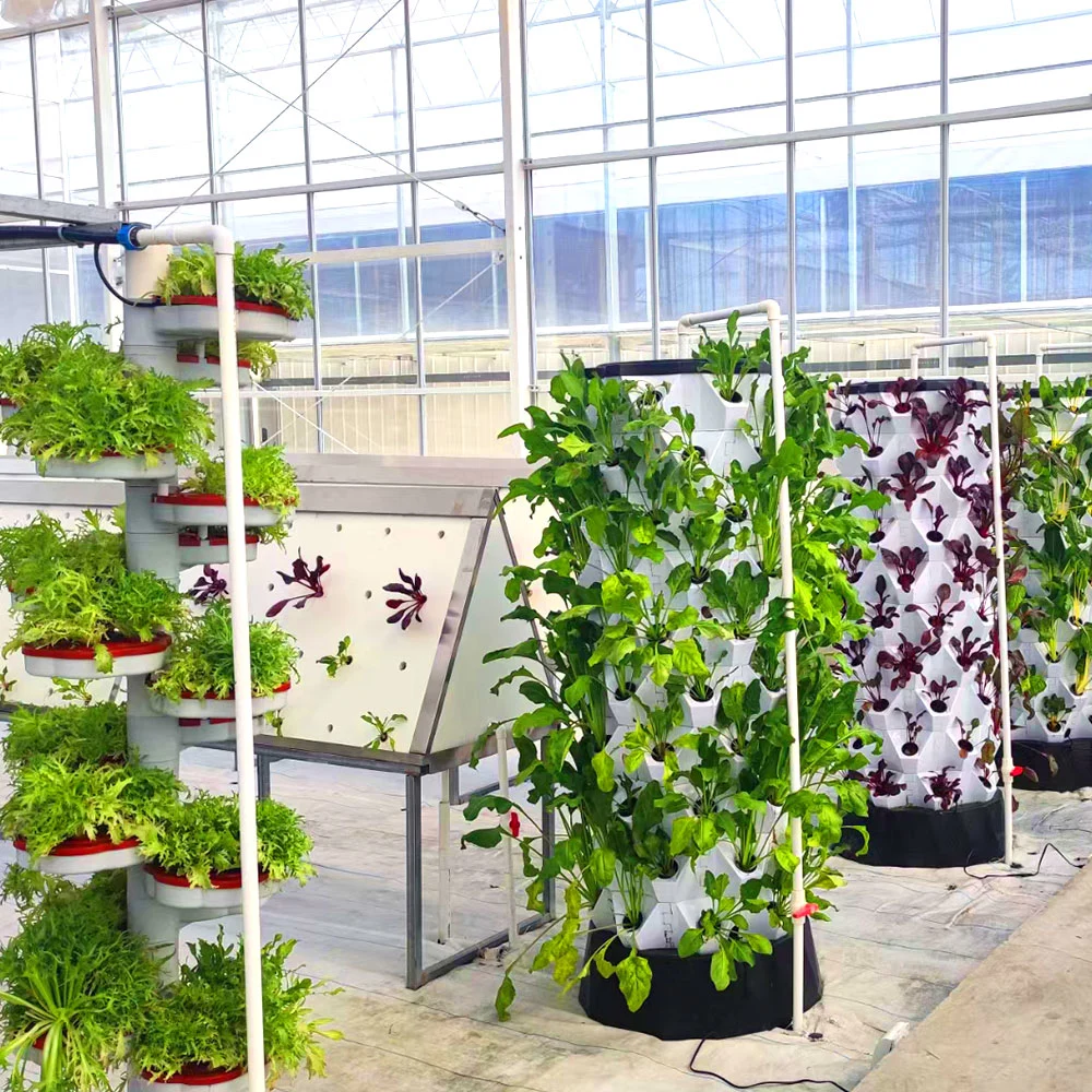 Nutrient Solution Customized Tropical Frigid Zone Vertical/Shape Hydroponics System with Nft Pipeline for Cherry/Cucumber/Eggplant