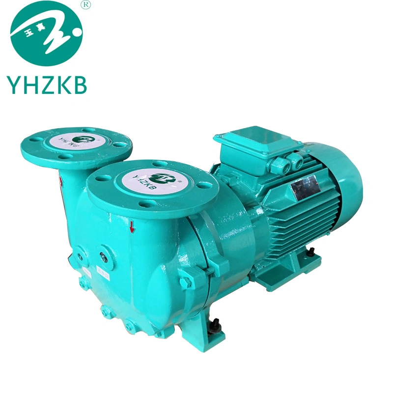 Yhzkb Shanghai Yulong Solar Energy Liquid Ring Vacuum Pump