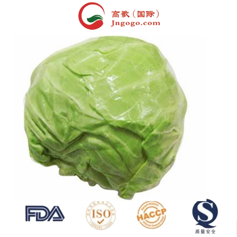 Chinese Factory Supply Fresh Vegetables Fresh Round Cabbage Chinese Cabbage Price for Sale