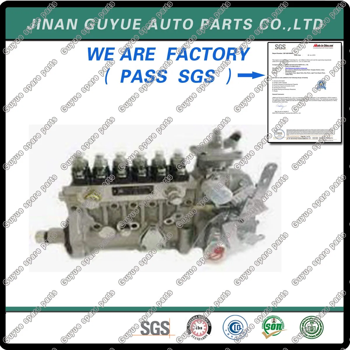 Sinotruk HOWO Spare Parts Fuel Injection Pump Vg1246080097 with Best Prices