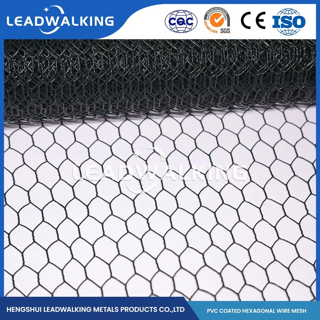 Material do fio de PVC Leadwalking metal revestido de PVC em tecido de malha de fábrica na China a malha de 1/2 polegada Hexagonal DIP Net