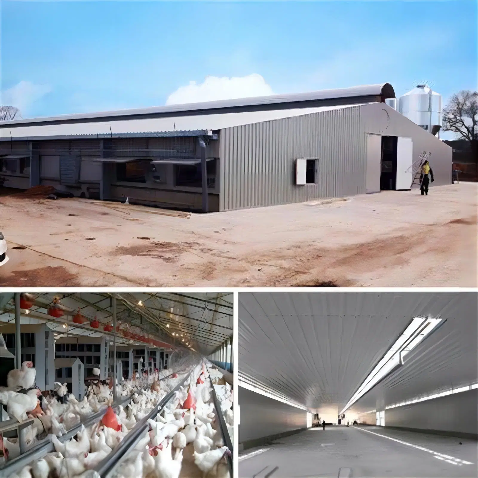 Günstige Vorgefertigte Pre Engineering Stahl Struktur Chicken Farm Geflügel Haus