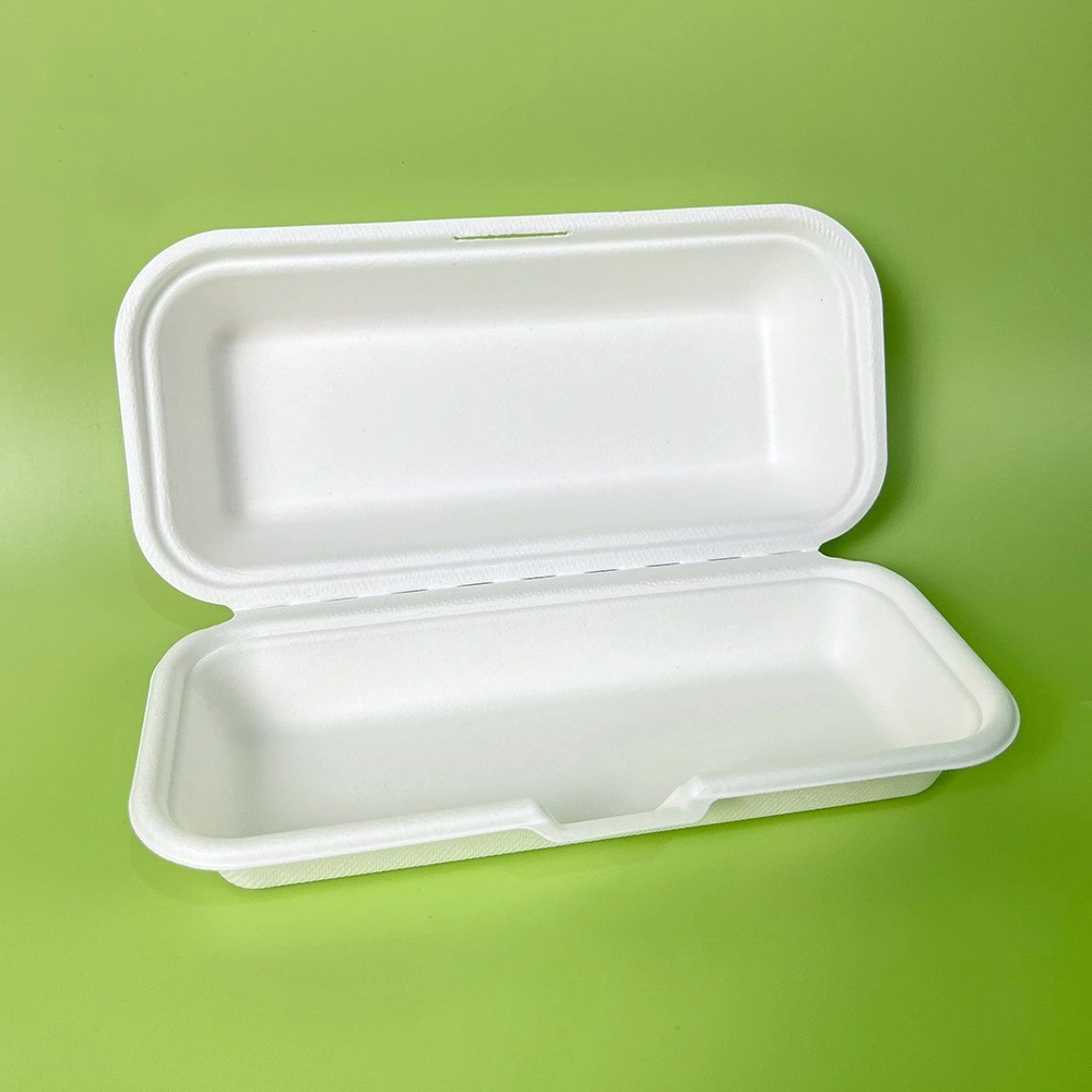 Environmental Degradation Food Packaging Containers for Hot Dog Burger Salad