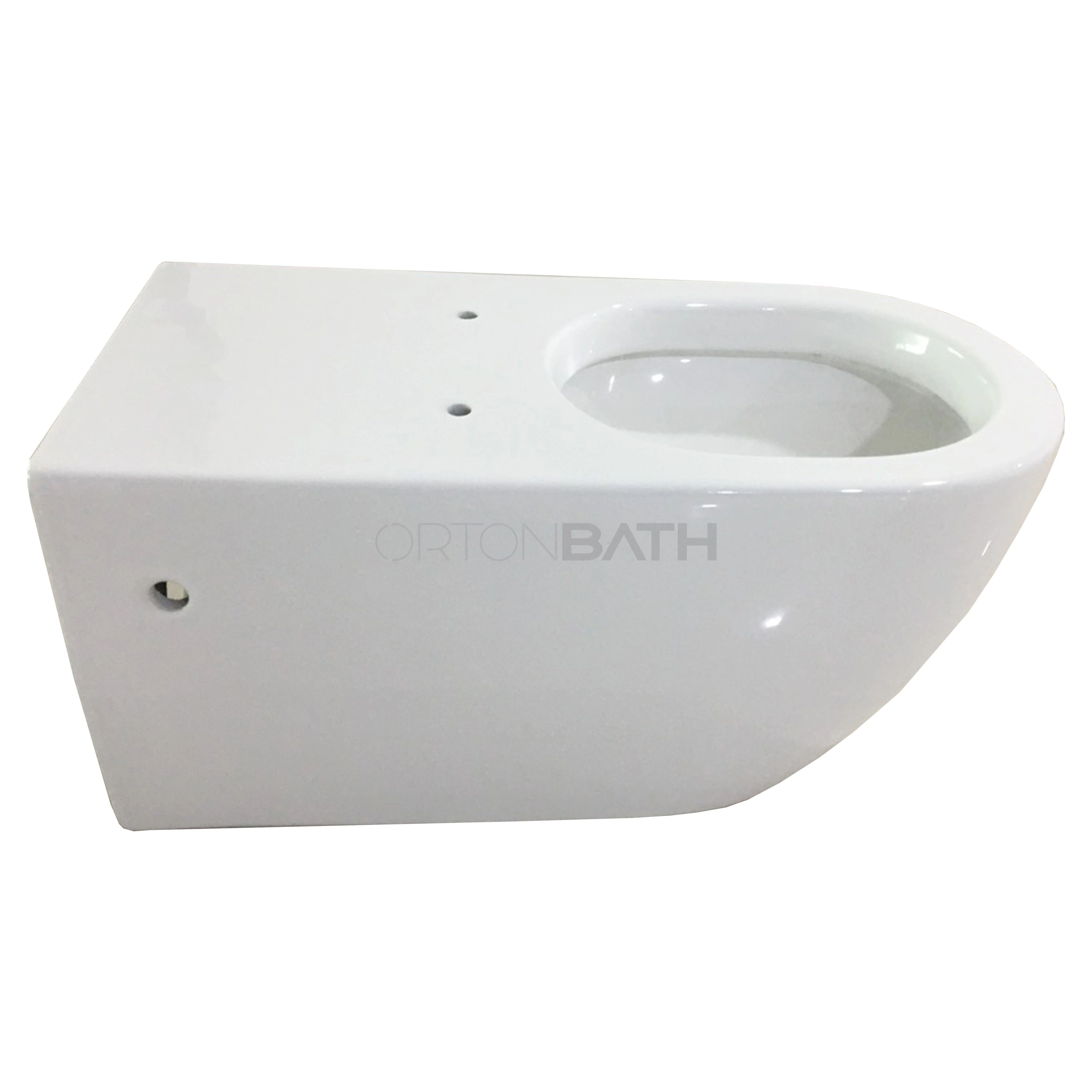 Ortonbath Wall Hanging Toilet Medical Care Sanitary Elder Wc Hospital Medical Care Sanitary Disable Wc Hospital Special Care