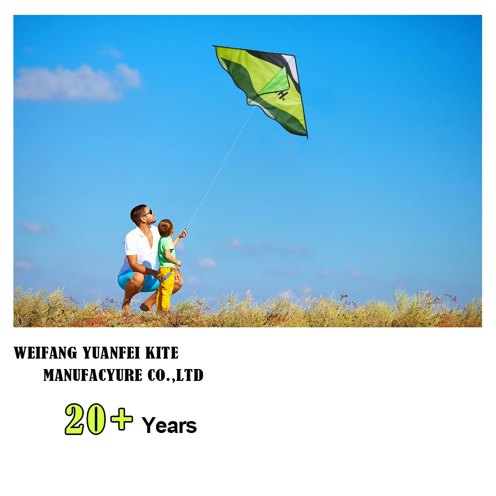 Heißer Verkauf Kinder und Erwachsene Big Kite leicht zu fliegen Single Line Delta Kite Outdoor Lustige Fliegende Sport Spielzeug Geschenk Surfen Sport China Kite