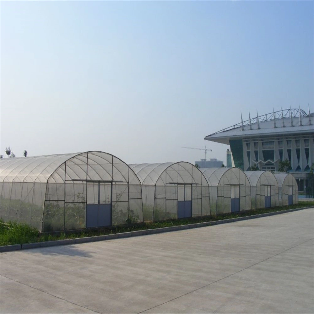 Low Price Customized Hot-Rolled Xinhe Garden Shed Multi Span Steel Structure Tunnel Greenhouse