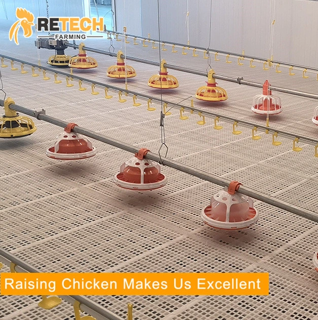 Automatic Poultry Drinking System For Layer Farm