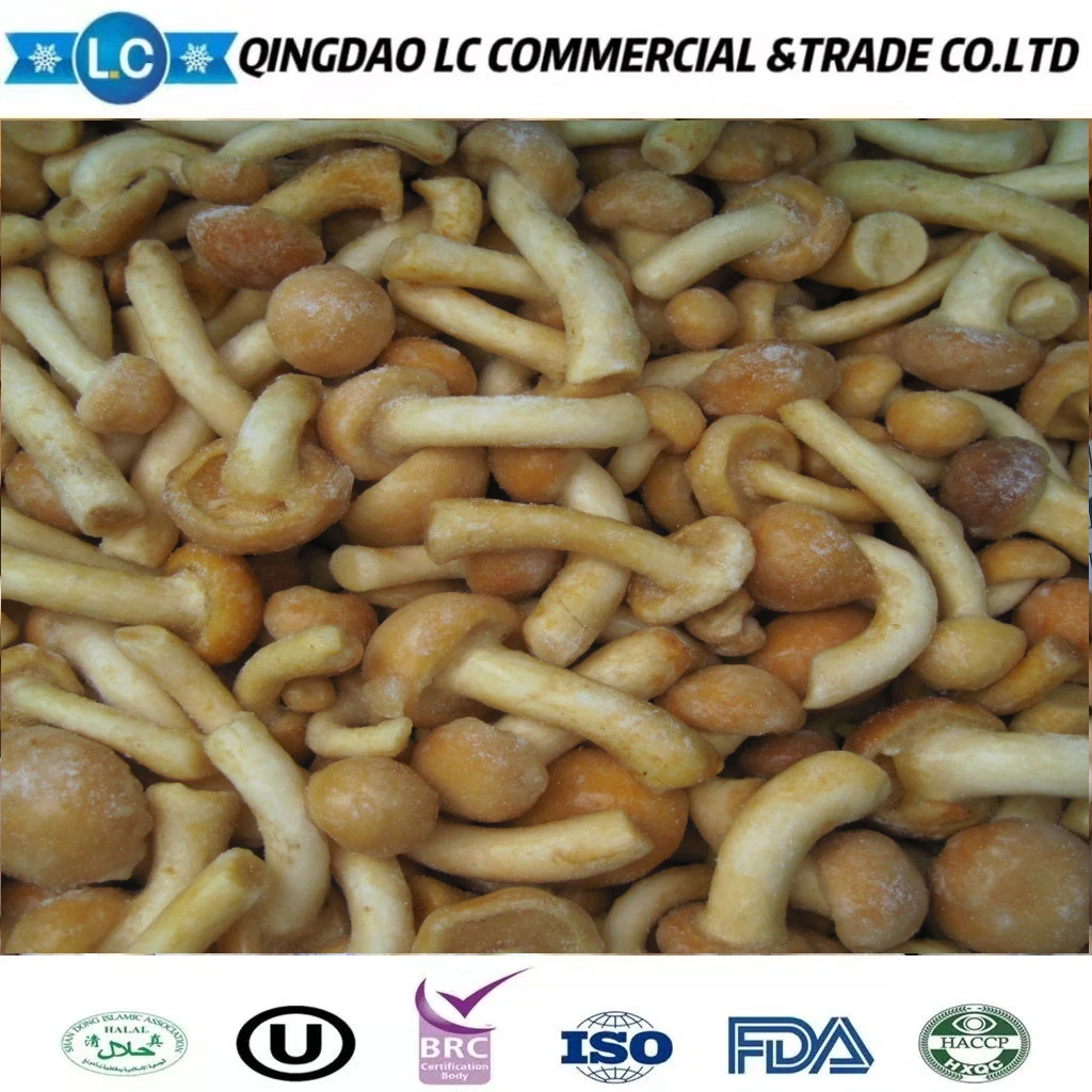 China vegetais congelados IQF Nameko Mushroom com Gap BRC ISO Certificados