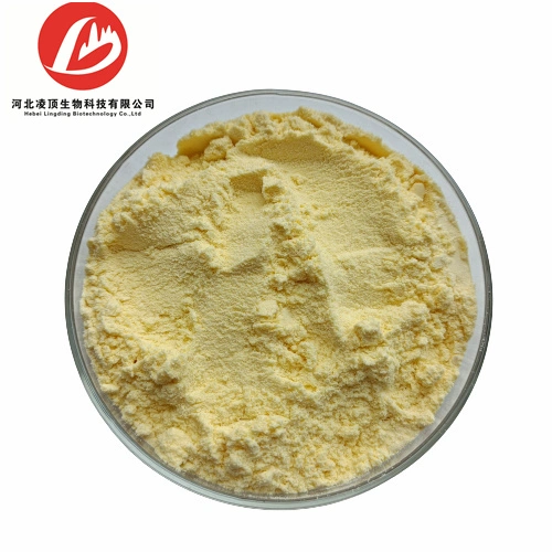 Health Supplement Additive CAS 303-98-0 Ubidecarenone Powder