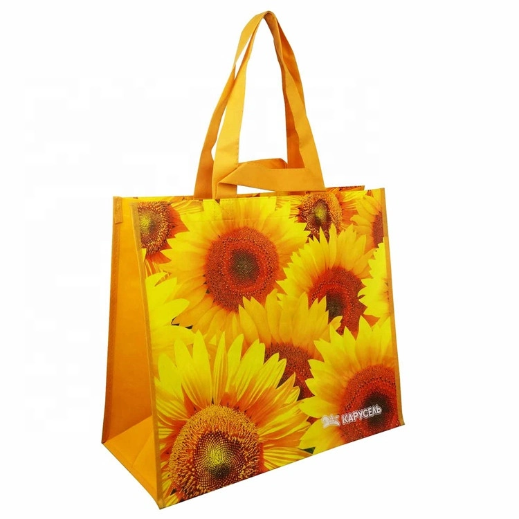 Custom Printed Recycle Foldable PE Woven Lamination PP BOPP Woven Shopping Bags