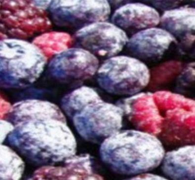 IQF Frozen Fruits Mixed Berry Strawberry Blueberry Blackberry Raspberry with Brc Certificate