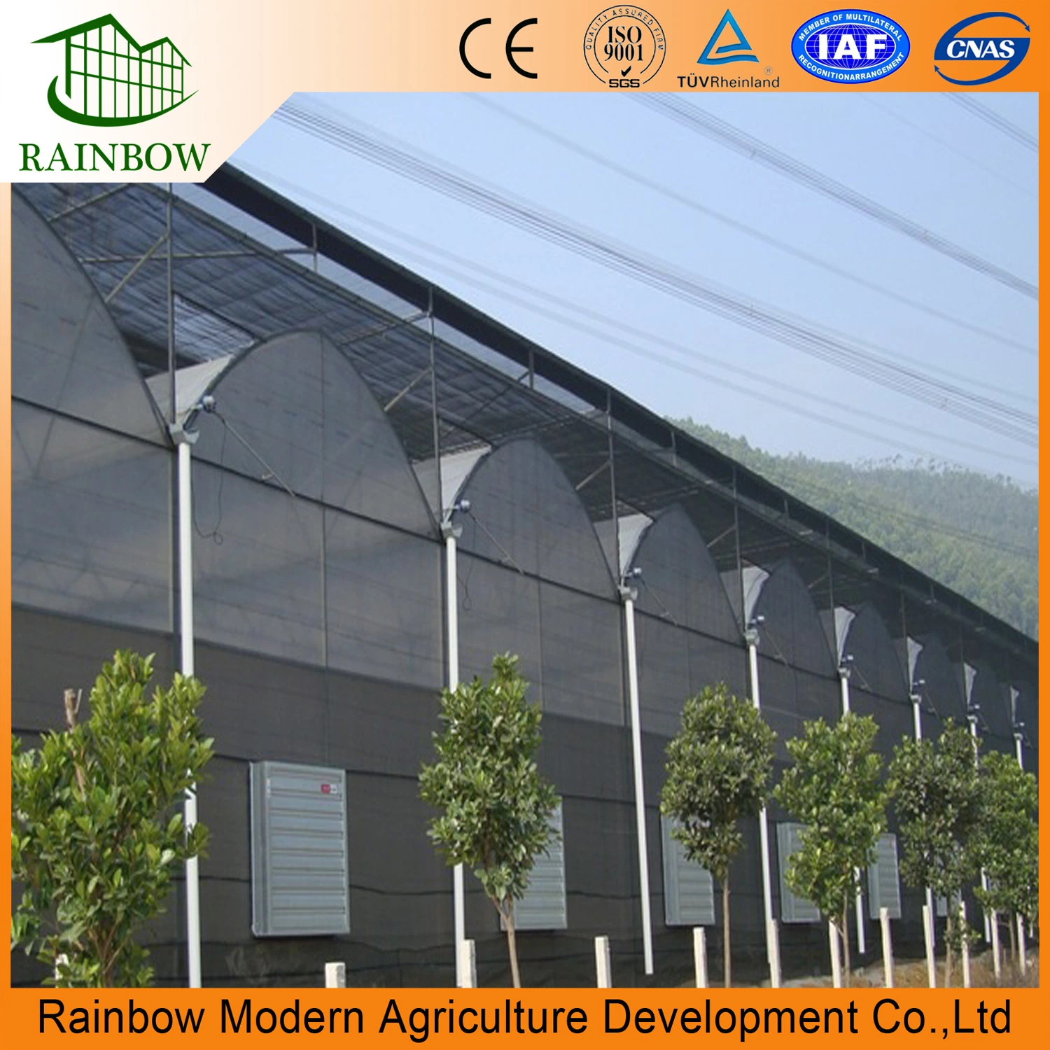 Good Quality Tempered PVC/PE Film Greenhouse for Vegetable Plantation