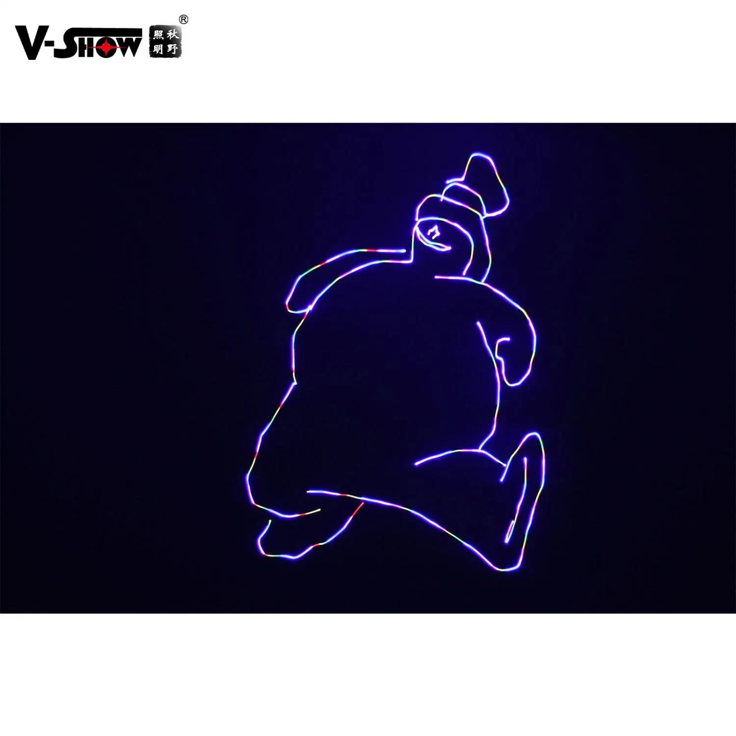 V-Show 1 Watt RGB High Power Stage Lighting Animation Laser Light Projector DMX512 Ilda