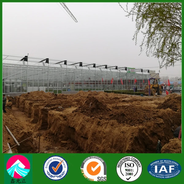 China Supplier Multi-Span Glass Greenhouse