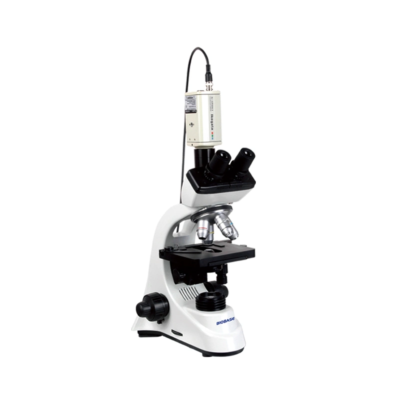 Microscopes Biobase Lab microscopes numériques Bxtv-1 microscopes biologiques pour laboratoires