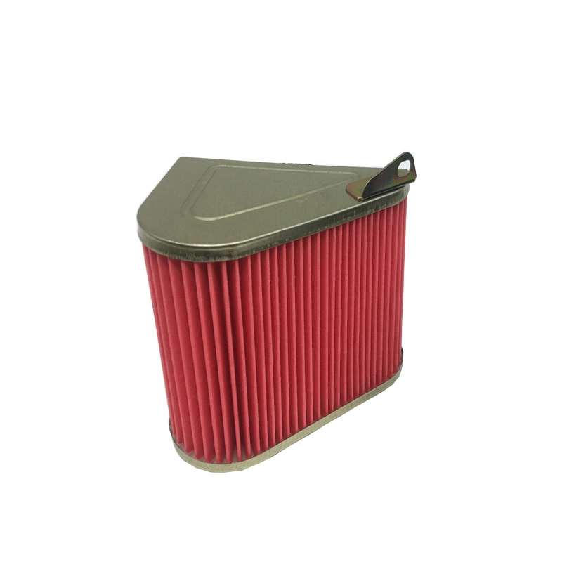 High quality/High cost performance  Motorcycle Parts Air Filter for DSG- 125 17