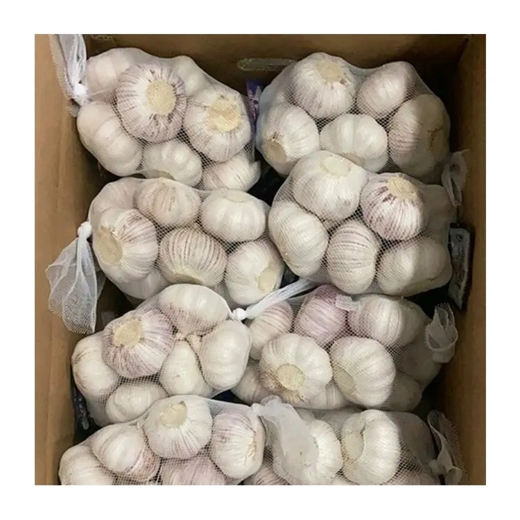 Nueva mayorista Jiangsu buen Precio de exportación solo puro pelado fresco Ajo deshidratado normal/Súper Blanco