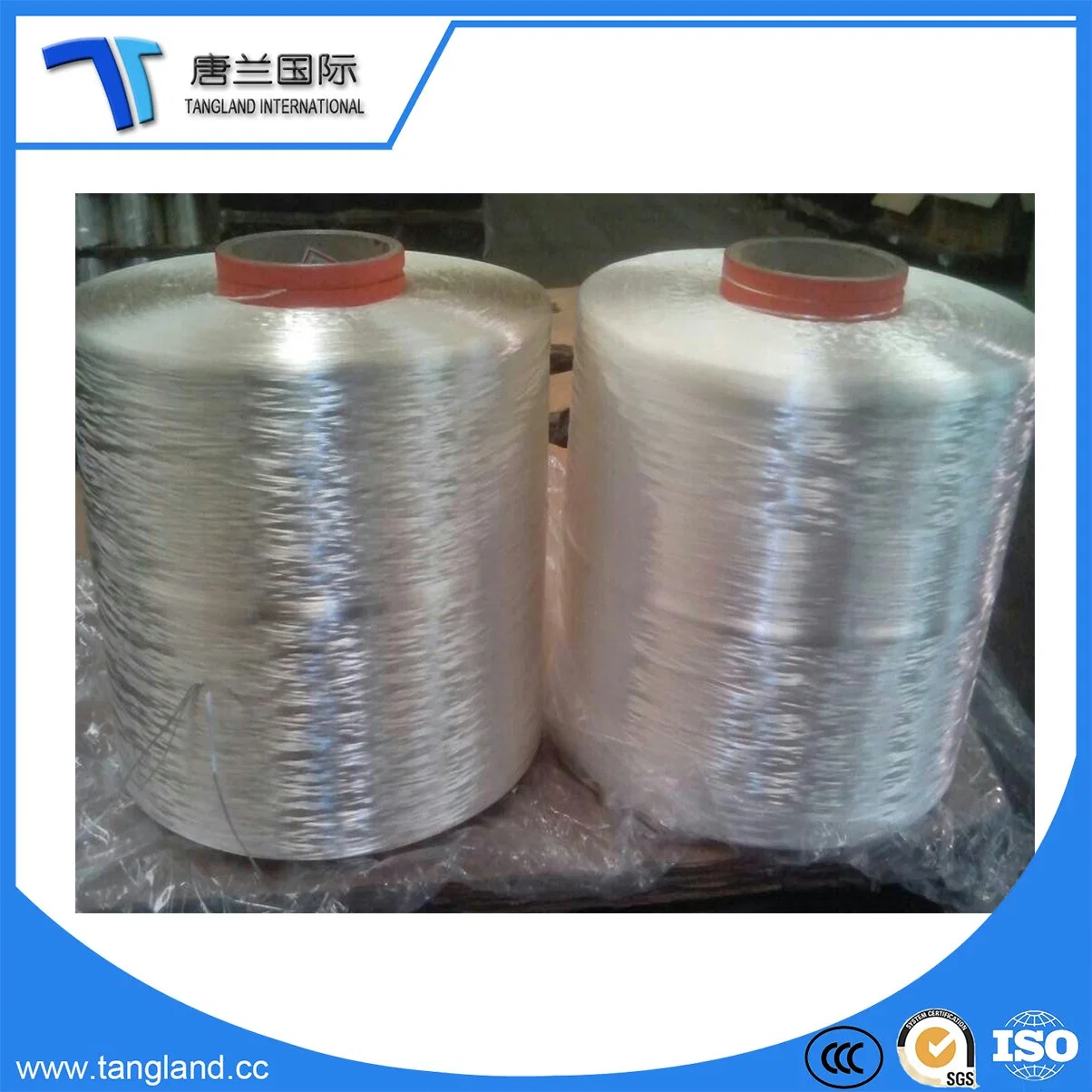 100% Polyamide Raw White Nylon 6 Yarn (PA 6 Yarn)