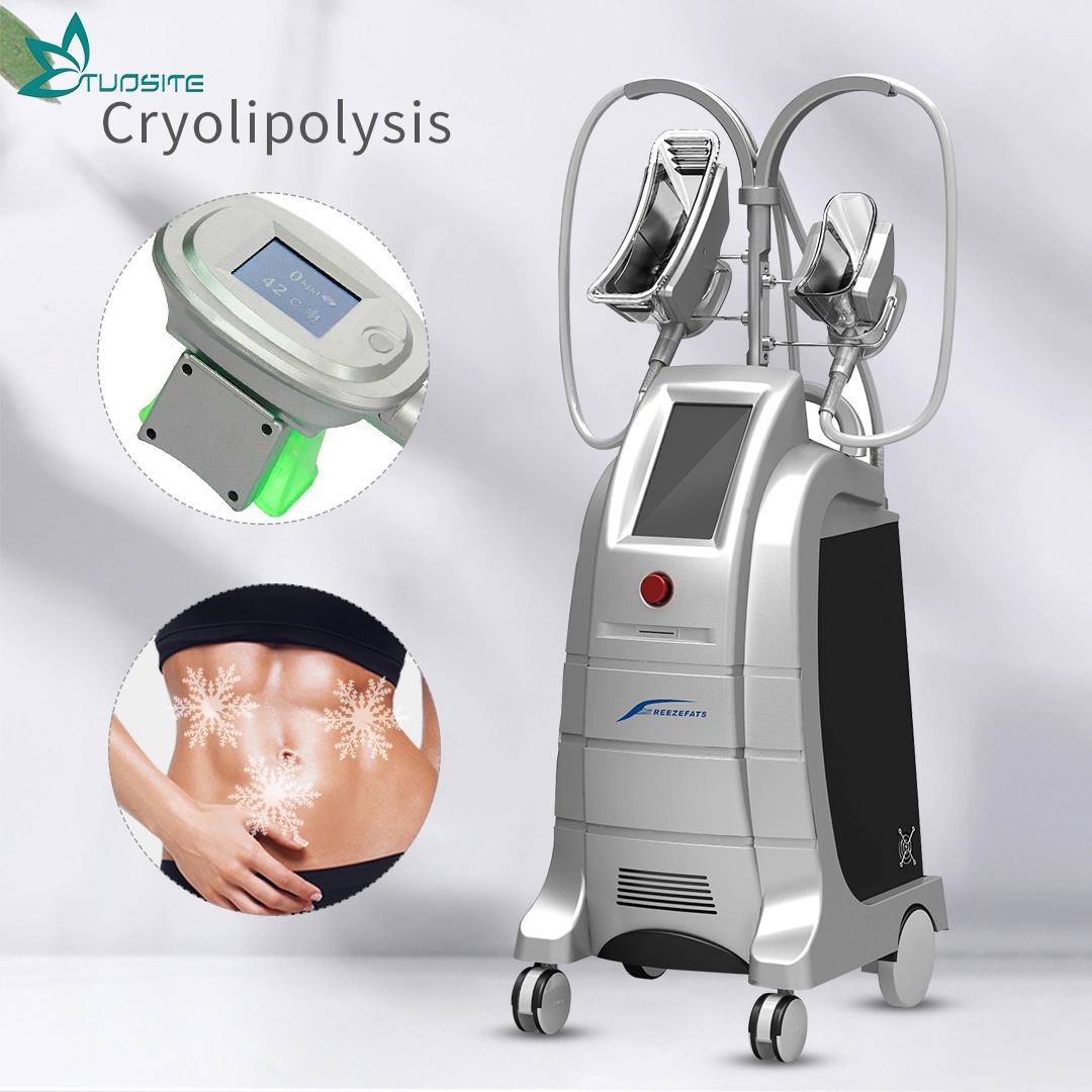 Cryolipolysis Slimming Zeltiq Cryo SPA Body Slimming Machine