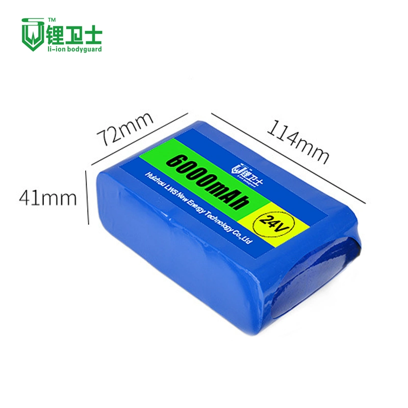 Lws Lithium Iron E-Bike Battery 24V 8s1p 2000mAh Battery Pack