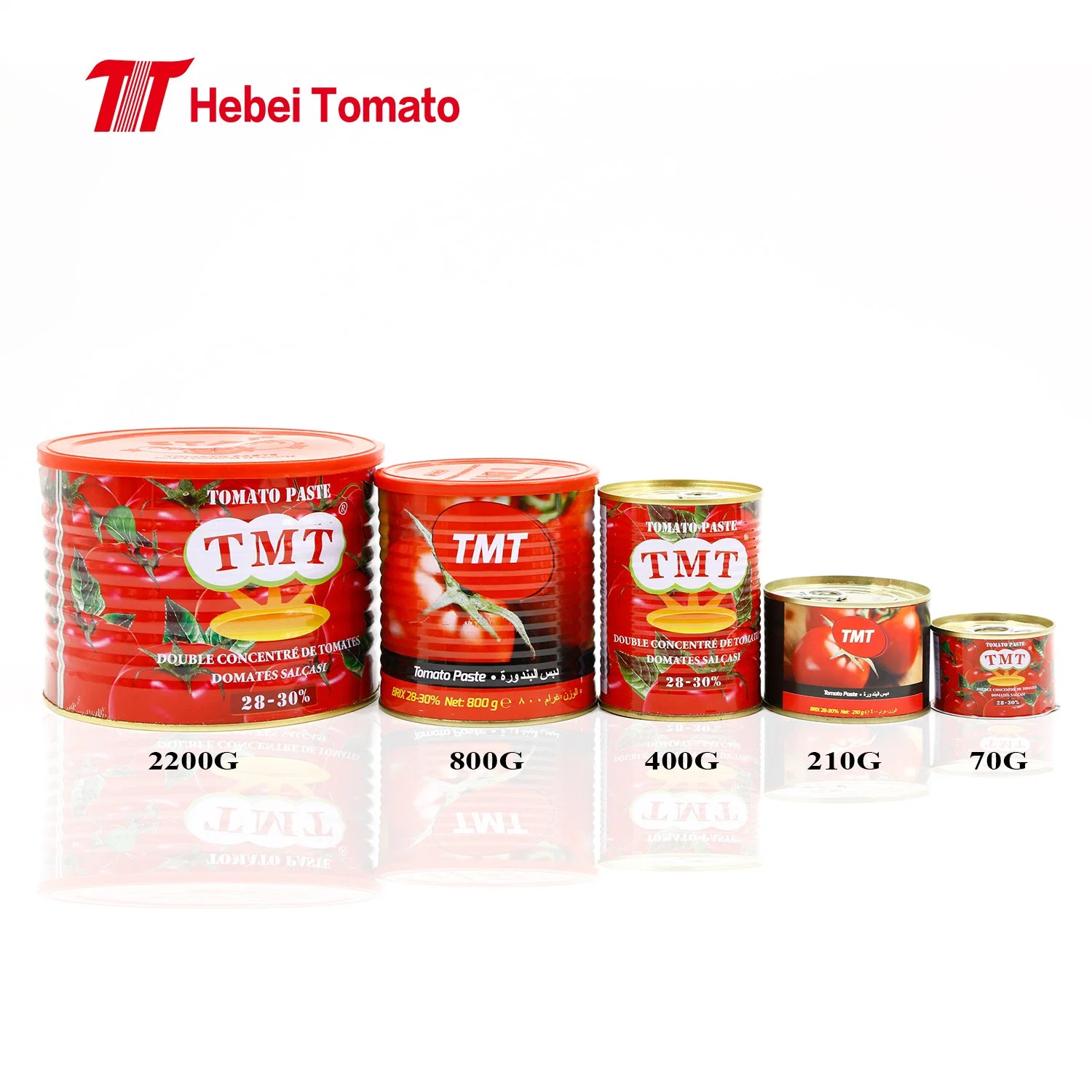 All Sizes Sachet/Canned Tomato Paste with Customized Brand and Logo