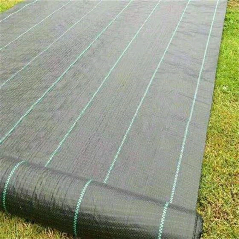 PP Ground Covering/PP Weed Mat/Woven Geotextile