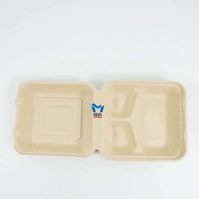 Spot Environmentally Friendly Biodegradable Take-out Pulp Packing Box