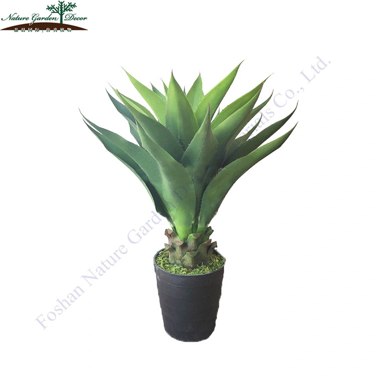 Customized Sisal UV Resistant Tree Fashion Agave Plant Natural