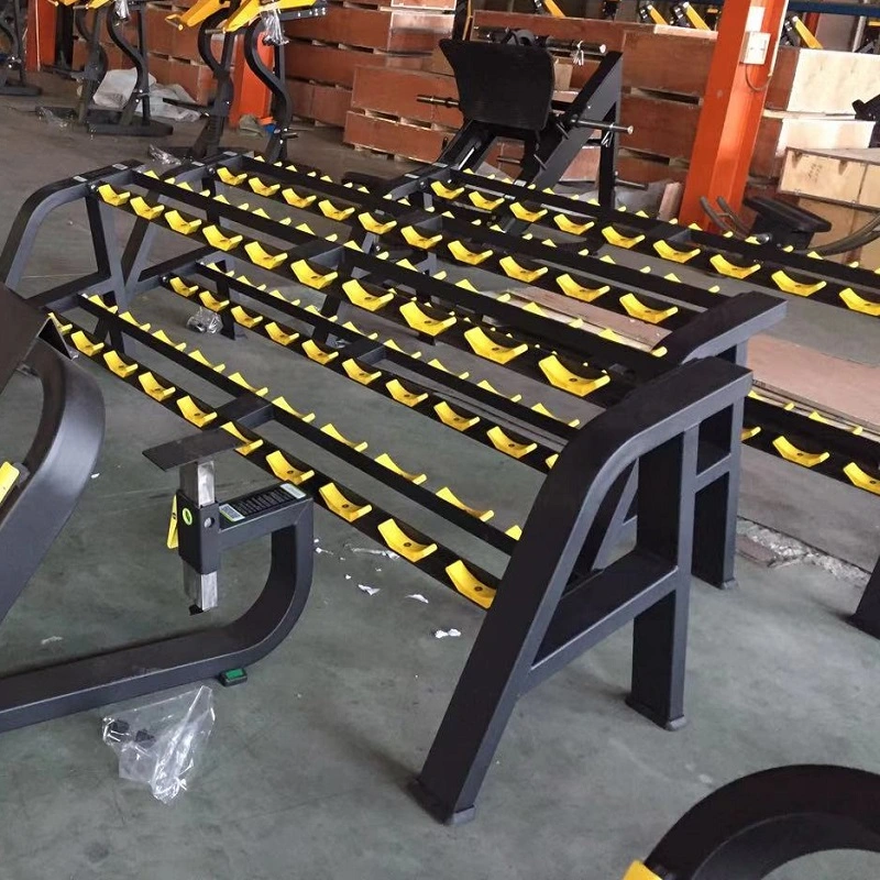 Venta caliente Equipo de Gimnasia mejor fábrica Fabricación pesa Rack para gimnasio (AXD5049)