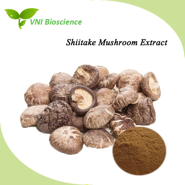 Kosher Halal Certified High Quality Shiitake Mushroom Extract