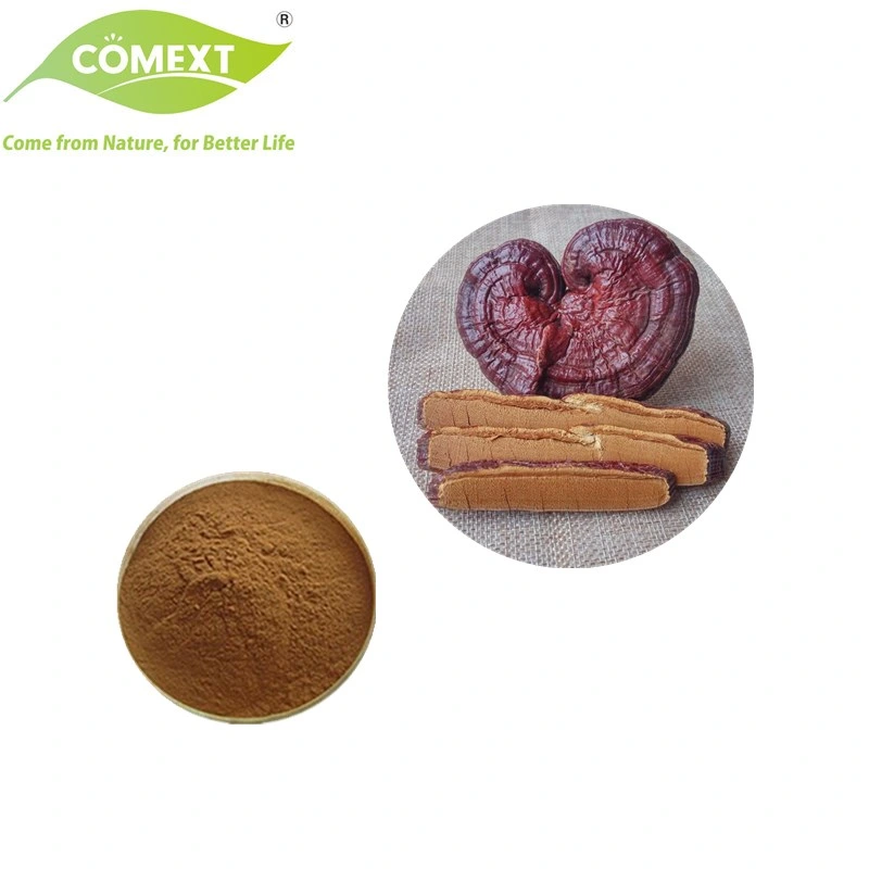 Comext Free Smple Factory Direct Organic Reishi Mushroom Extract Deep Brown Powder for Healthcare Supplment