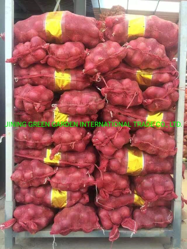 Zwiebel Rote Zwiebel Frisch Rote Zwiebel China Frisch Rote Zwiebel 5-8cm Rote Zwiebel Runde Form Rote Zwiebel Pack Mesh-Tasche Zwiebel Großes Volumen Rote Zwiebel Gute Qualität Rote Zwiebel