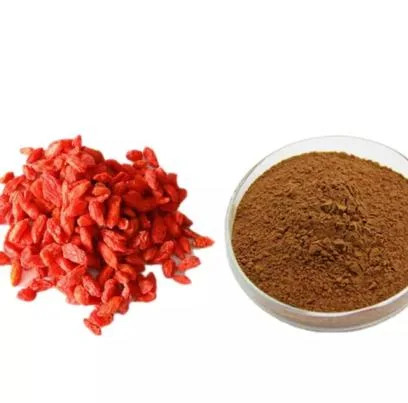 High Purity 100% Natural Barbury Wolfberry Fruit P. E. Powder Goji Extract