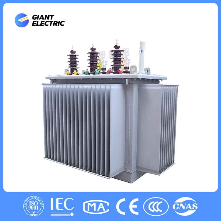 6kv~35kv 30kVA~1600kVA Three-Phase Two Winding Low Loss Oil Immersed Plane Laminated Core Transformer