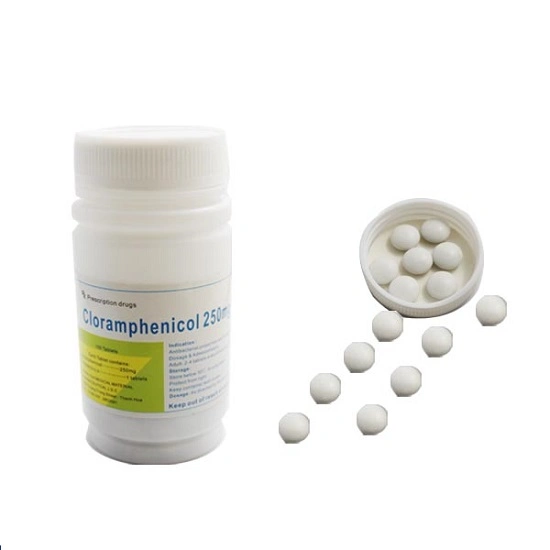 Gélules de chloramphénicol certifiées GMP 250 mg antibiotiques