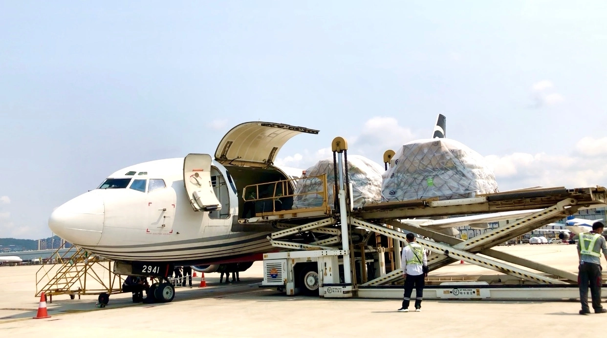 Shenzhen Agente de Envío profesional y confiable / DHL FedEx UPS TNT de China a Albania