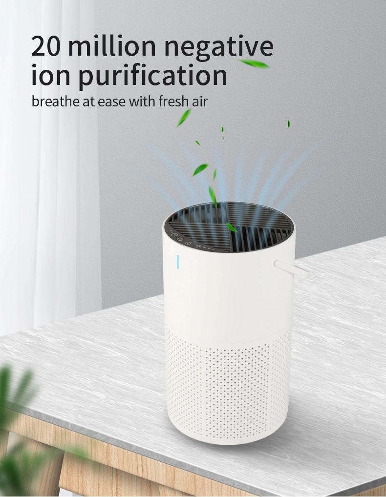 CE RoHS FCC Desktop Portable Ozone Generator High Efficient HEPA Negative Ion Air Purifier Home