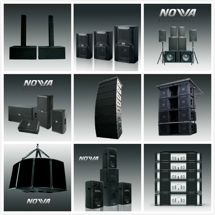 Double 12 Inch High Power Line Array Professional Speaker (CA-2212)