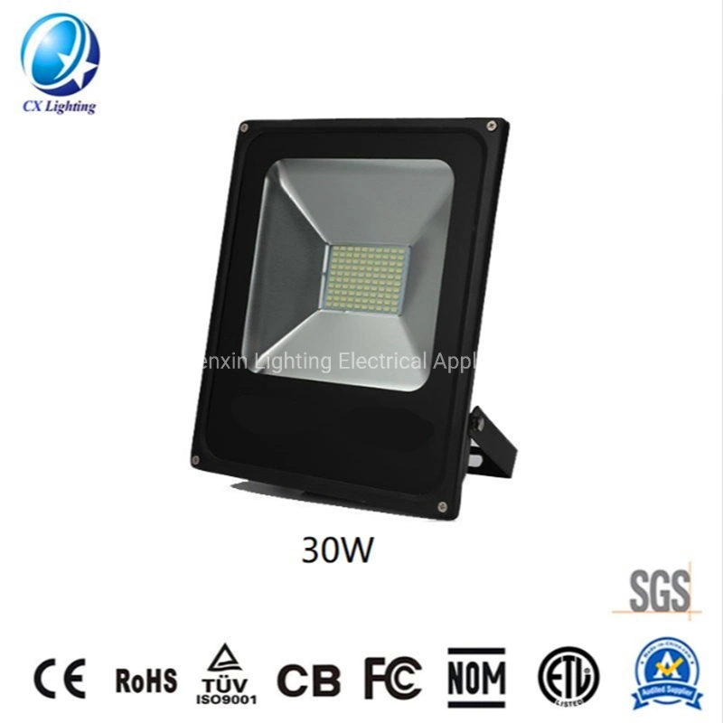 Europe Stocked 30W LED Flood Light Projector