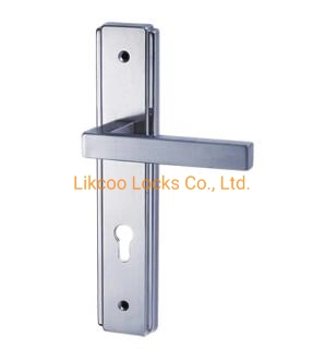 Stainless Steel Lever Tube Plate with Lock for Metal Door